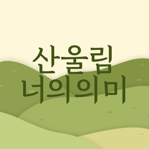 산울림 너의의미