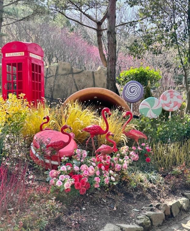 2025 대구 네이처파크 플라워페스티벌 총정리 사진