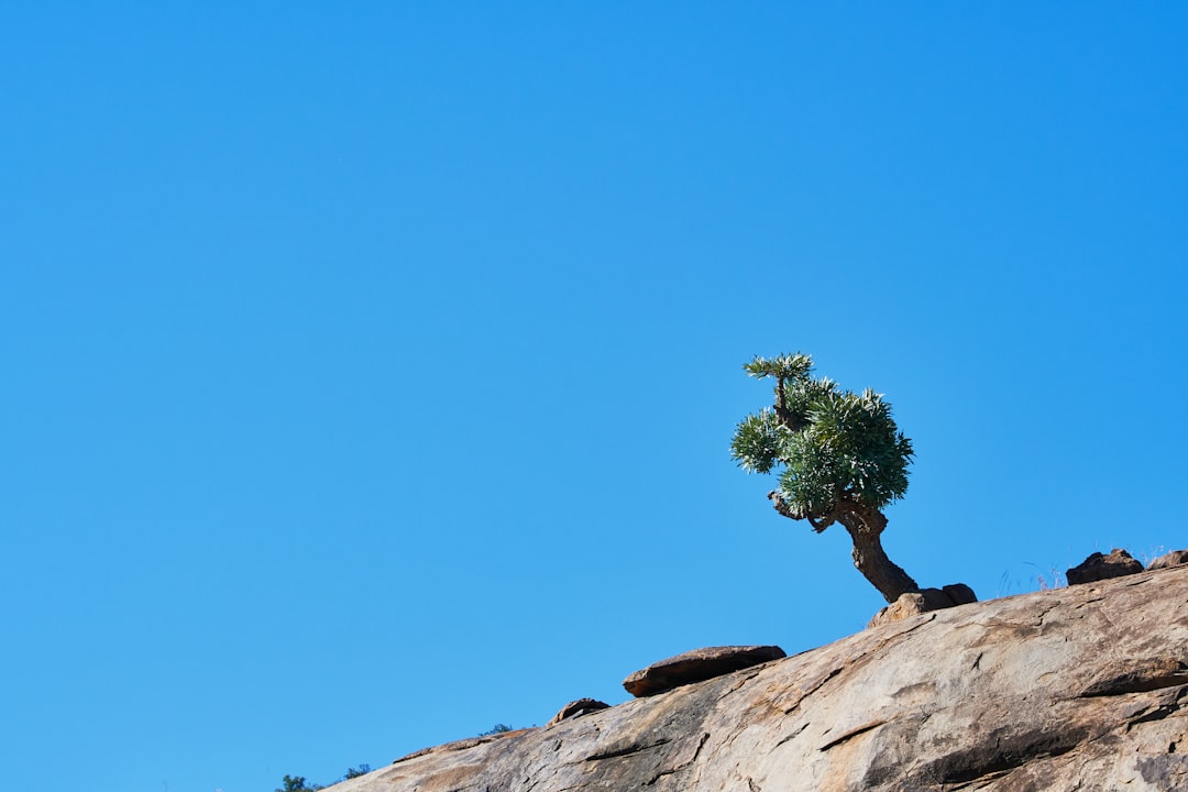 Persistence.