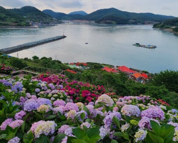 고흥 가볼만한곳 베스트 10