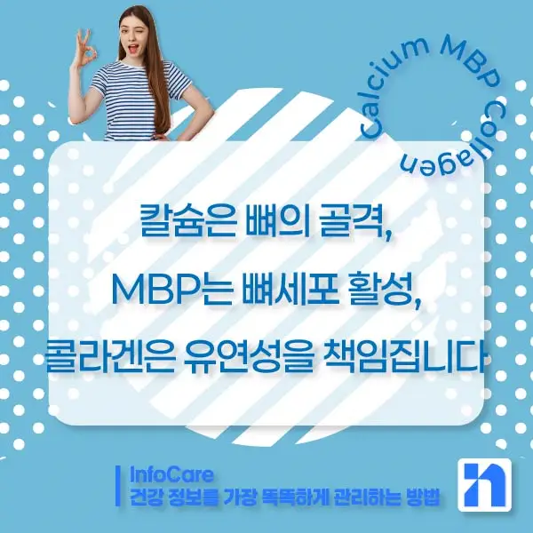 칼슘, MBP, 콜라겐 효능, 효과 비교