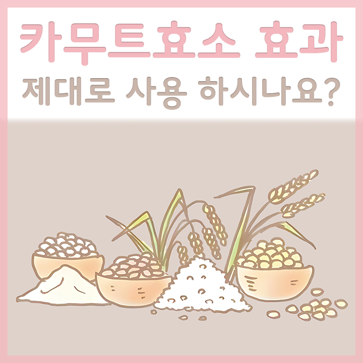 카무트효소