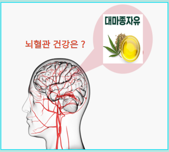대마종자유: 뇌혈관 건강에 좋은 이유