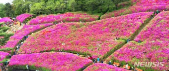 군포 가볼만한곳 베스트10 현지인 추천 필수코스_3