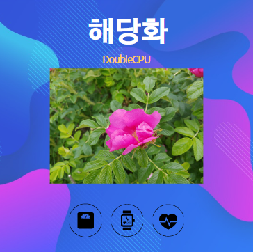 해당화 알아보기