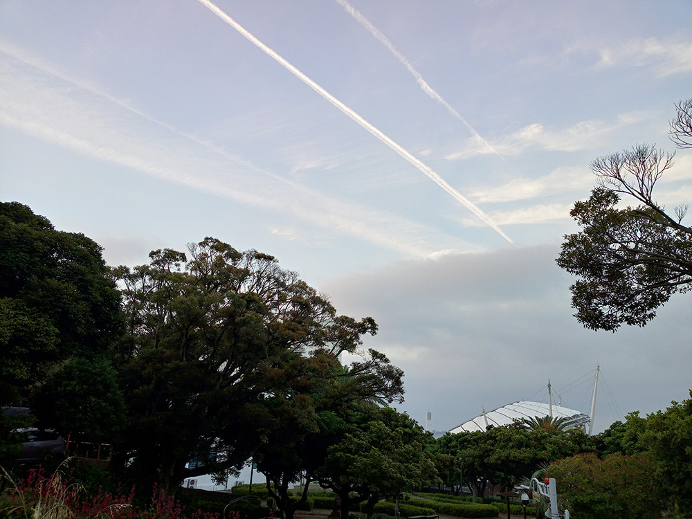 김정문화로 하늘을 달리다