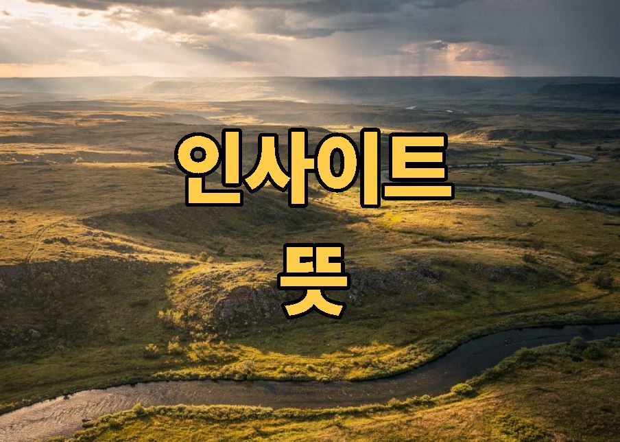 인사이트 뜻