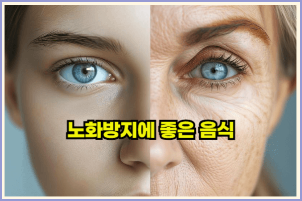 노화방지에좋은음식