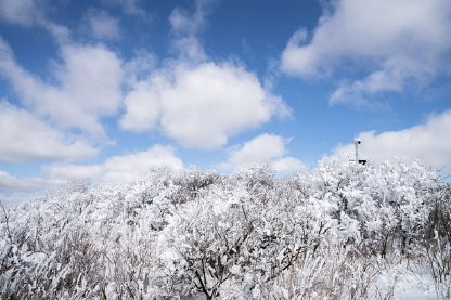눈꿈 상황별 해몽