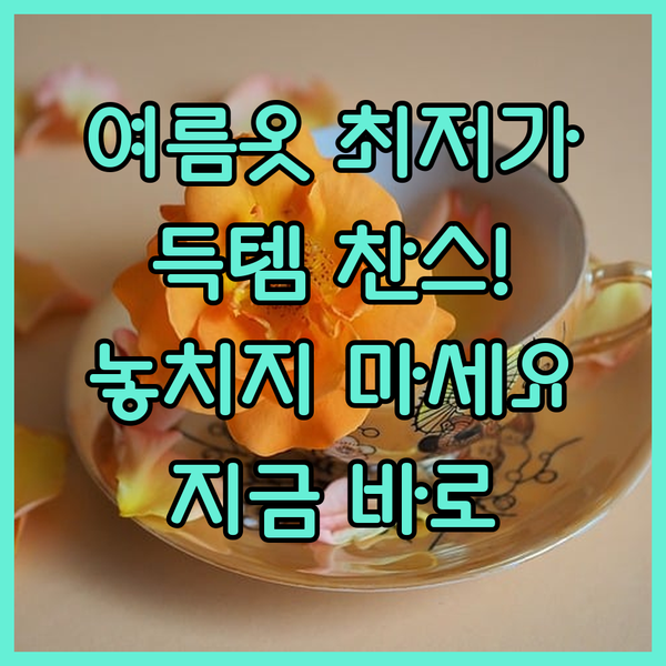 여성 여름옷 최저가 득템 찬스 절호의