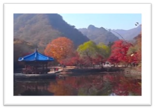 단풍명소 내장사