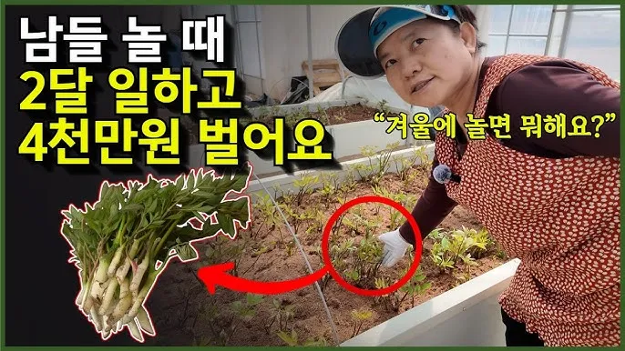농한기 수익 아이템 건조채소 장아찌 씨앗판매 체험농장_3