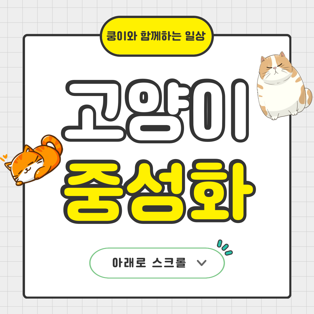 고양이 중성화