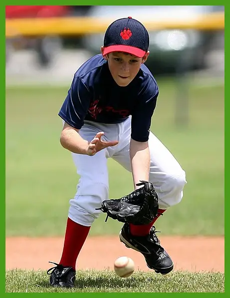 프리미어12 일정