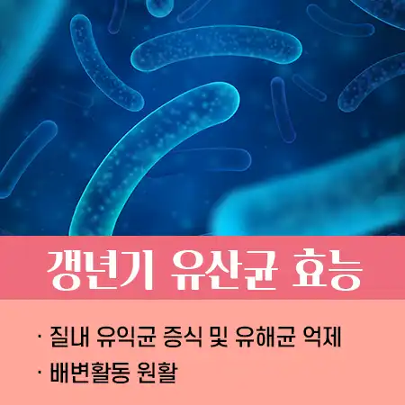 갱년기 유산균 효능