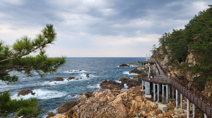 초곡용굴촛대바위길