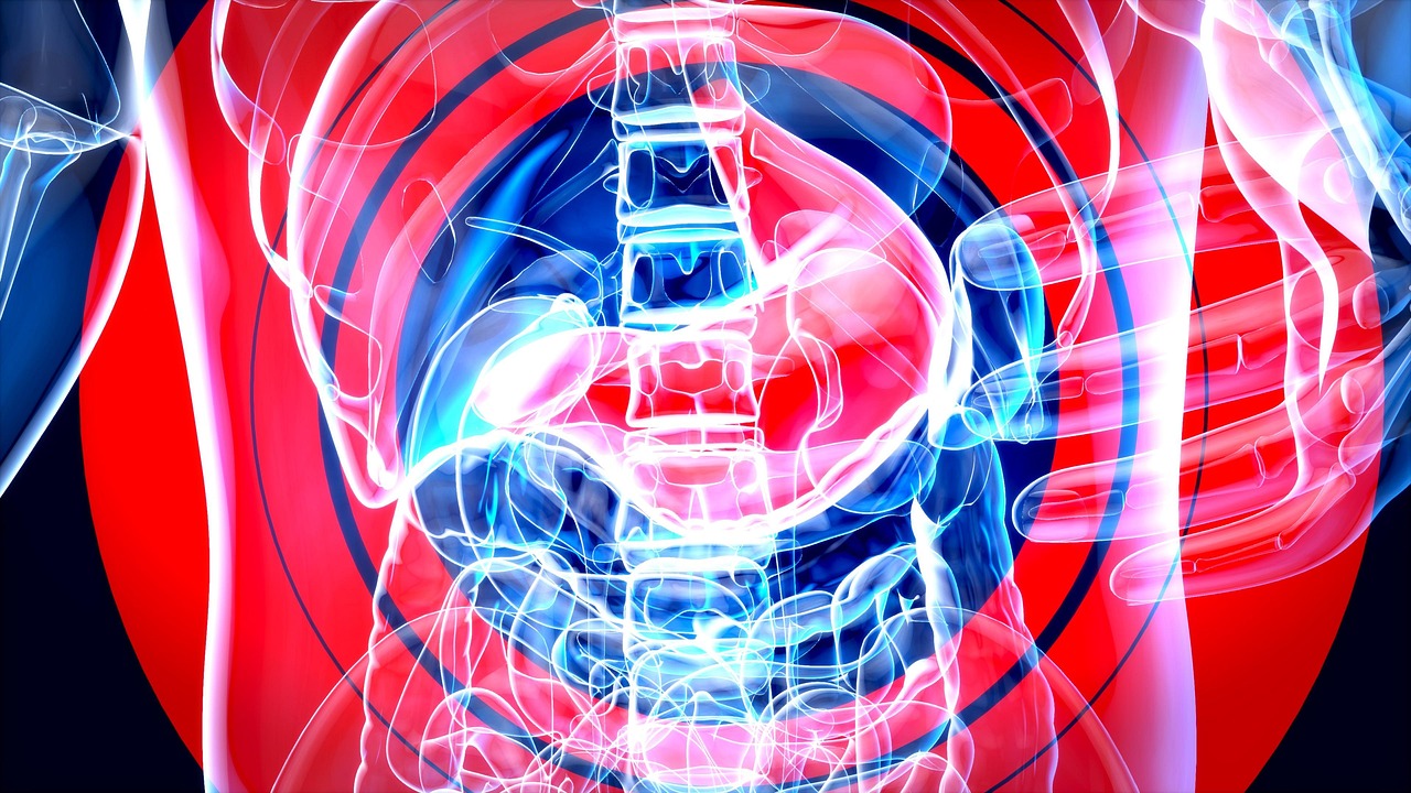 지사제 로페라마이드