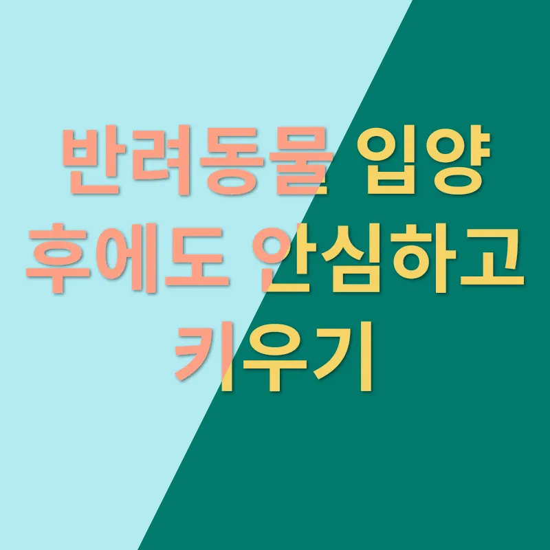 고양이 입양_3