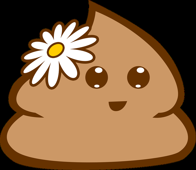 똥 변기 화장실 응가 대변 오줌