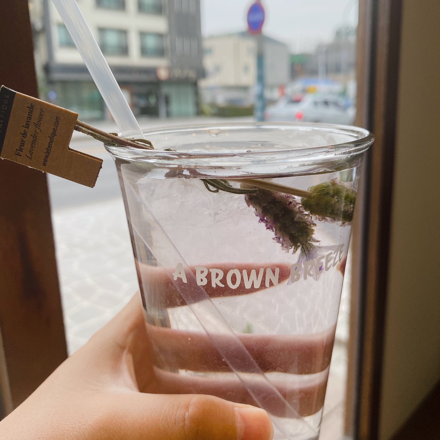 제주 일도이동 신산공원 어브라운브리즈 A brown breeze 카페 추천 리뷰 제주도민 맛집