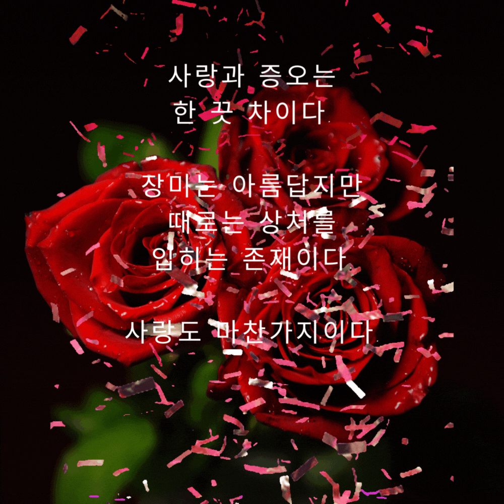 이별 글귀