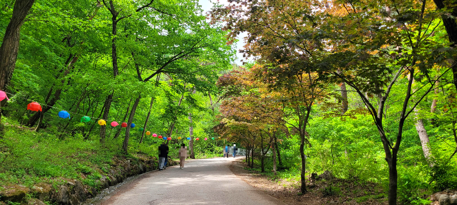 용문사 절 가는 길