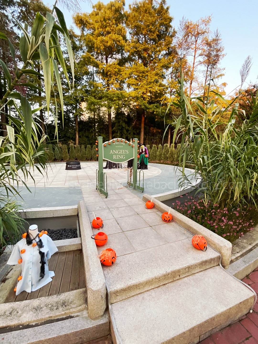 할로윈데이-마귀 할머니 인형