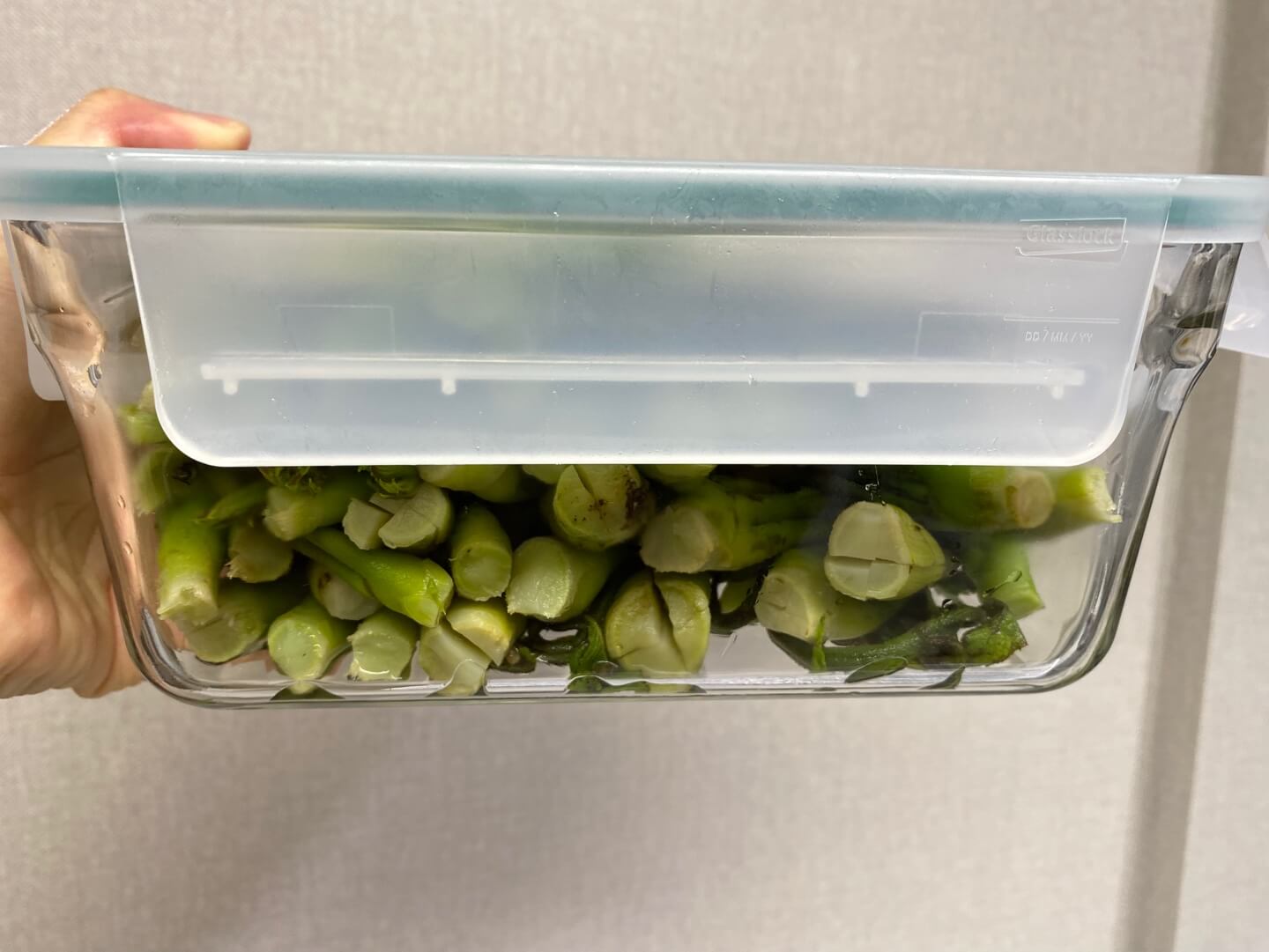 두릅 보관법 추천