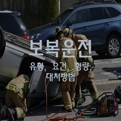 보복운전 변호사