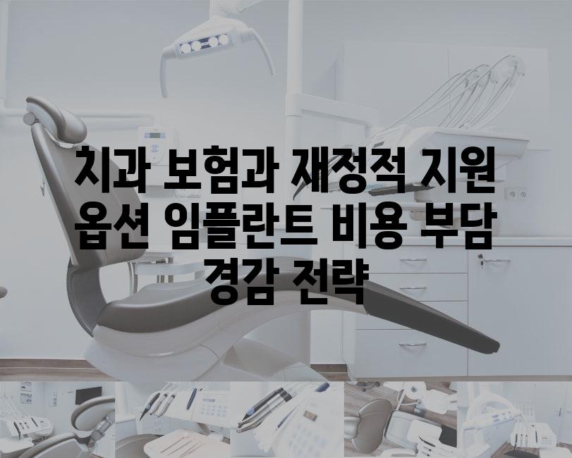 치과 보험과 재정적 지원 옵션 임플란트 비용 부담 경감 전략