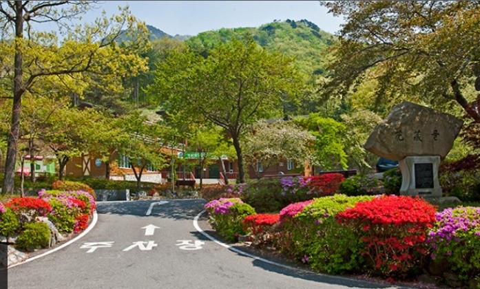 성주산자연휴양림 입장료 할인 정보 예약안내