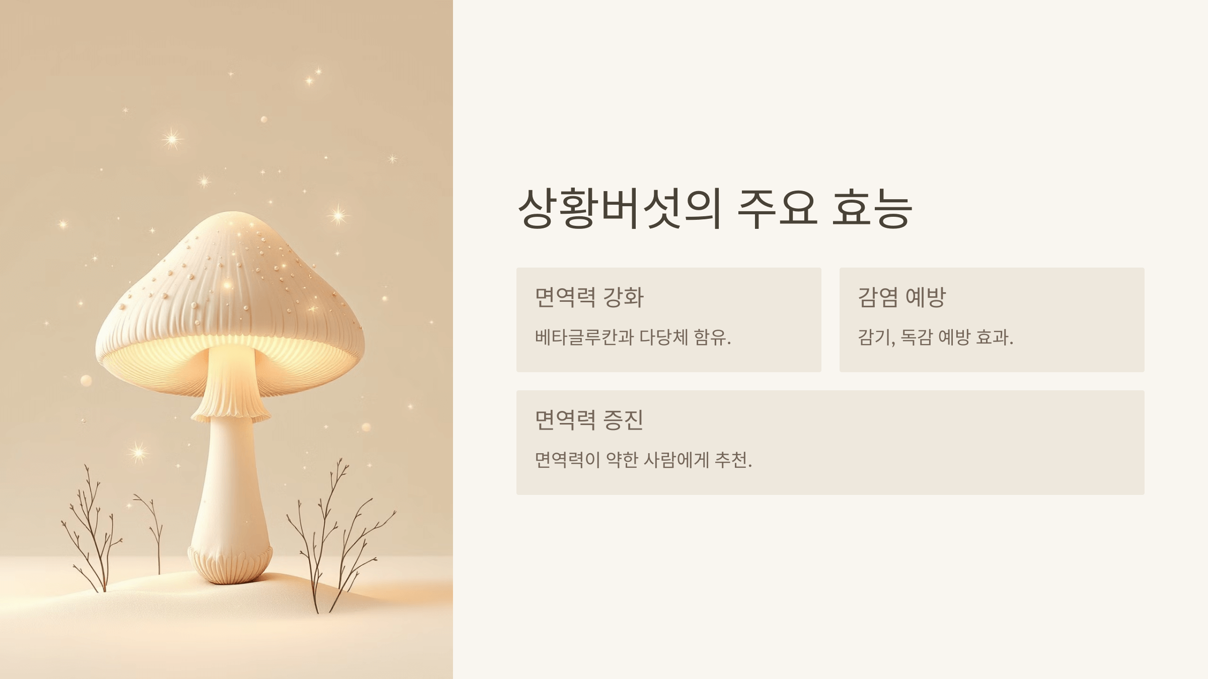 상황버섯 사진입니다.