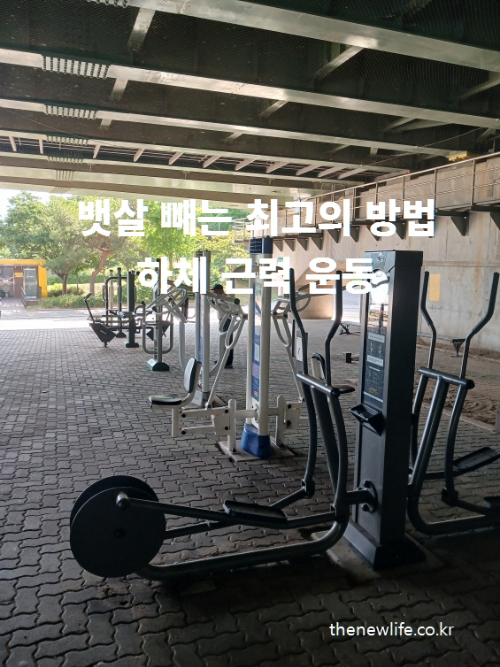 공원 다리 아래에 설치된 하체 근력 강화 운동 기구 – 뱃살 빼는 최고의 방법 중 하체 근력 운동 장면