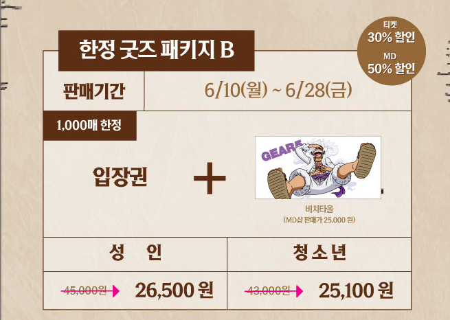 티켓 패키지b