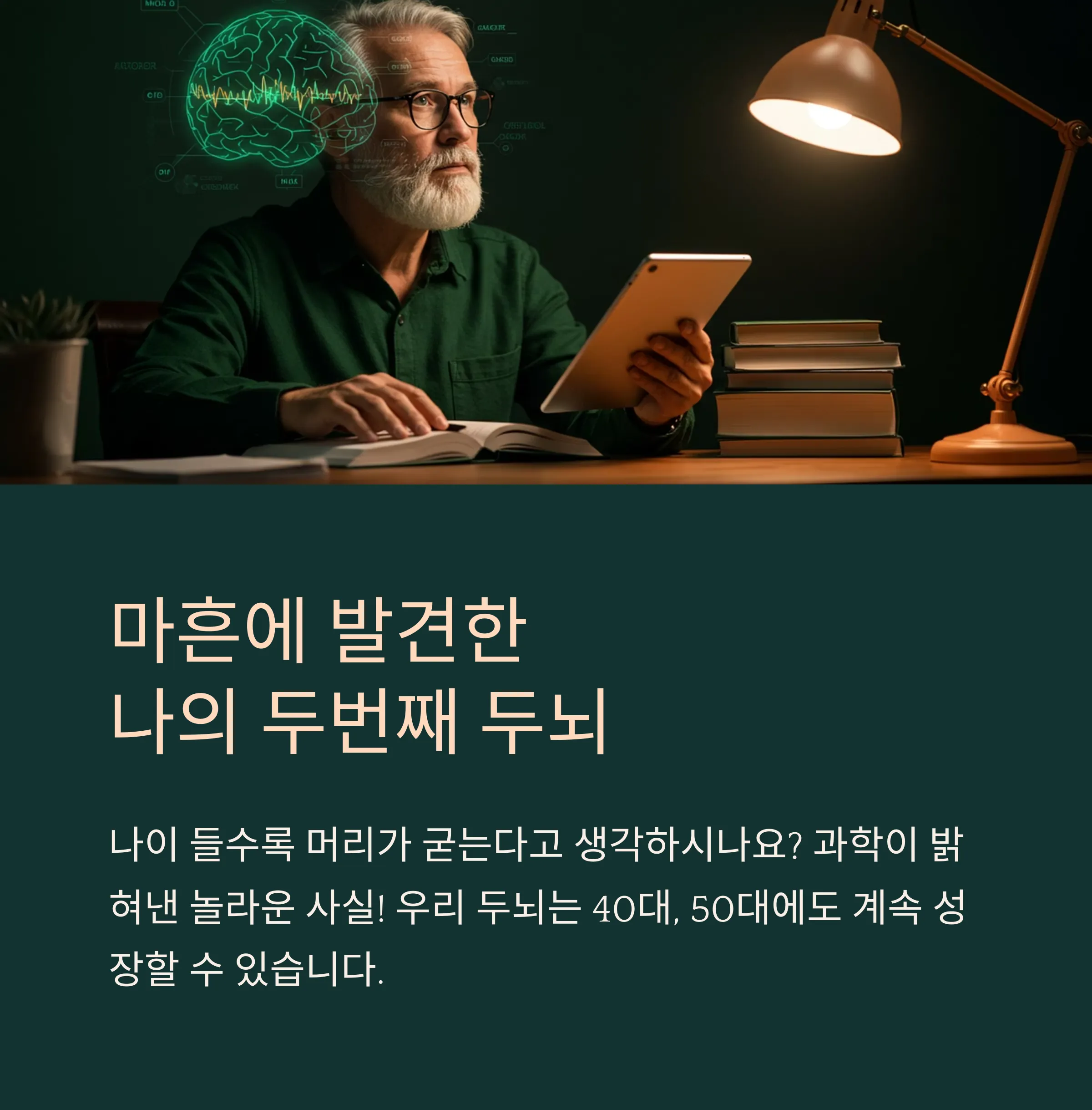 최적의 성인 학습법