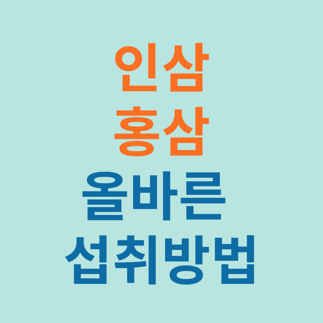 인삼 홍삼 효능 효과 인삼 홍삼 차이점 인삼 홍삼 섭취방법 추천섭취법 나에게 맞는 인삼홍삼