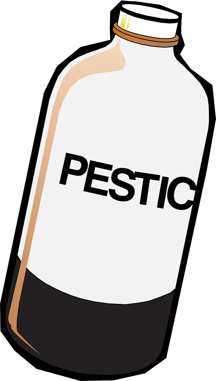 러브버그 방역 사진