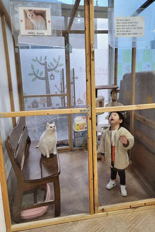 작은동물원