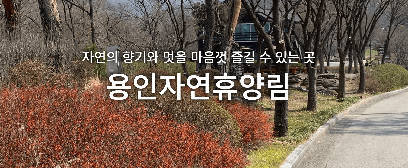 자연휴양림 숲나들e 예약방법, 내가 추천하는 자연휴양림 Best 3