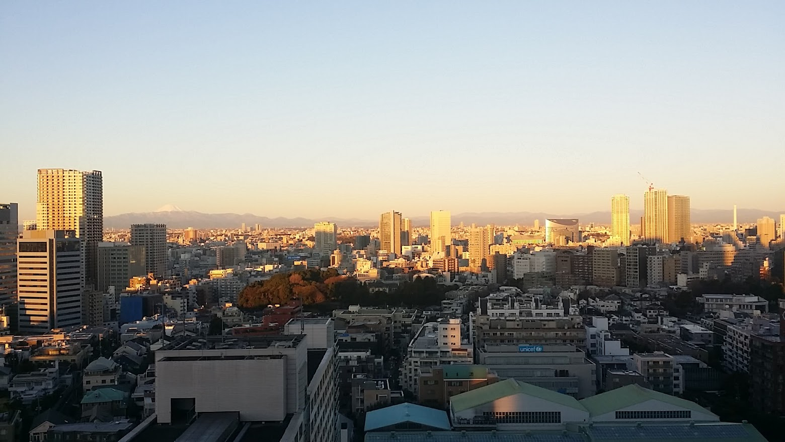 도쿄 전경