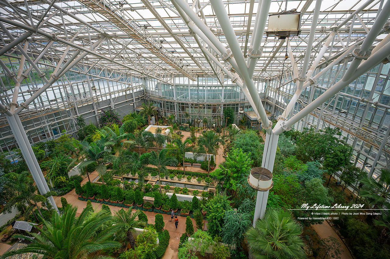 #식물 #나무 #수목원 #세종 #세종수목원 #피노키오