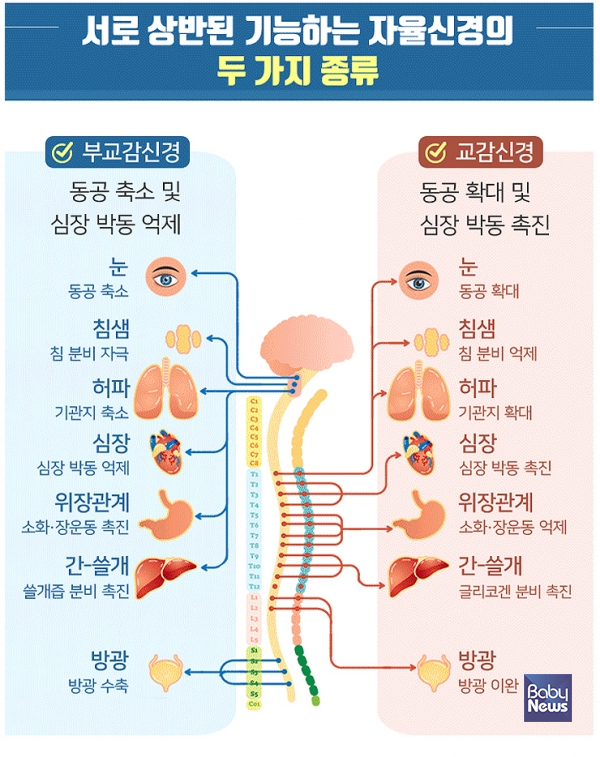 계절 변화가 자율신경계에 주는 영향과 관리법