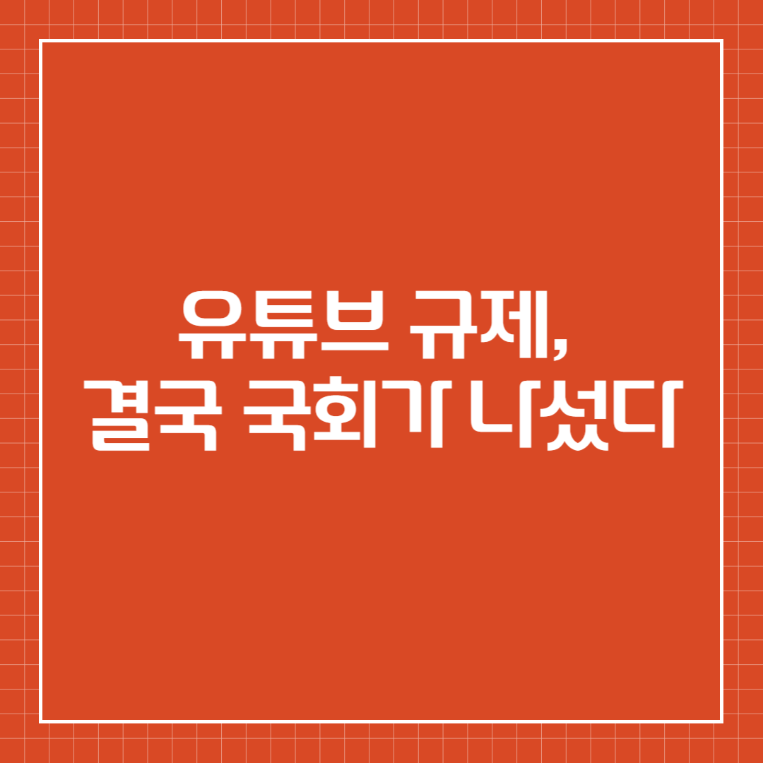 유튜브 규제, 결국 국회가 나섰다