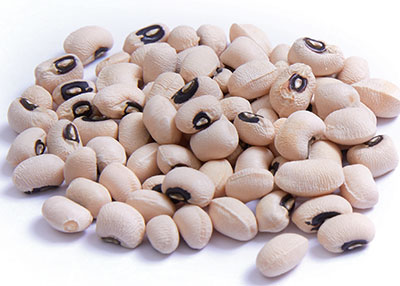 마그네슘 부족현상