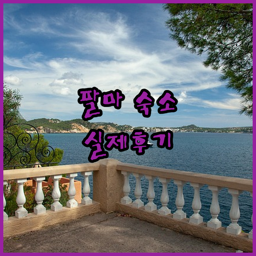 팔마 마요르카 숙소 베스트 5 특징과..