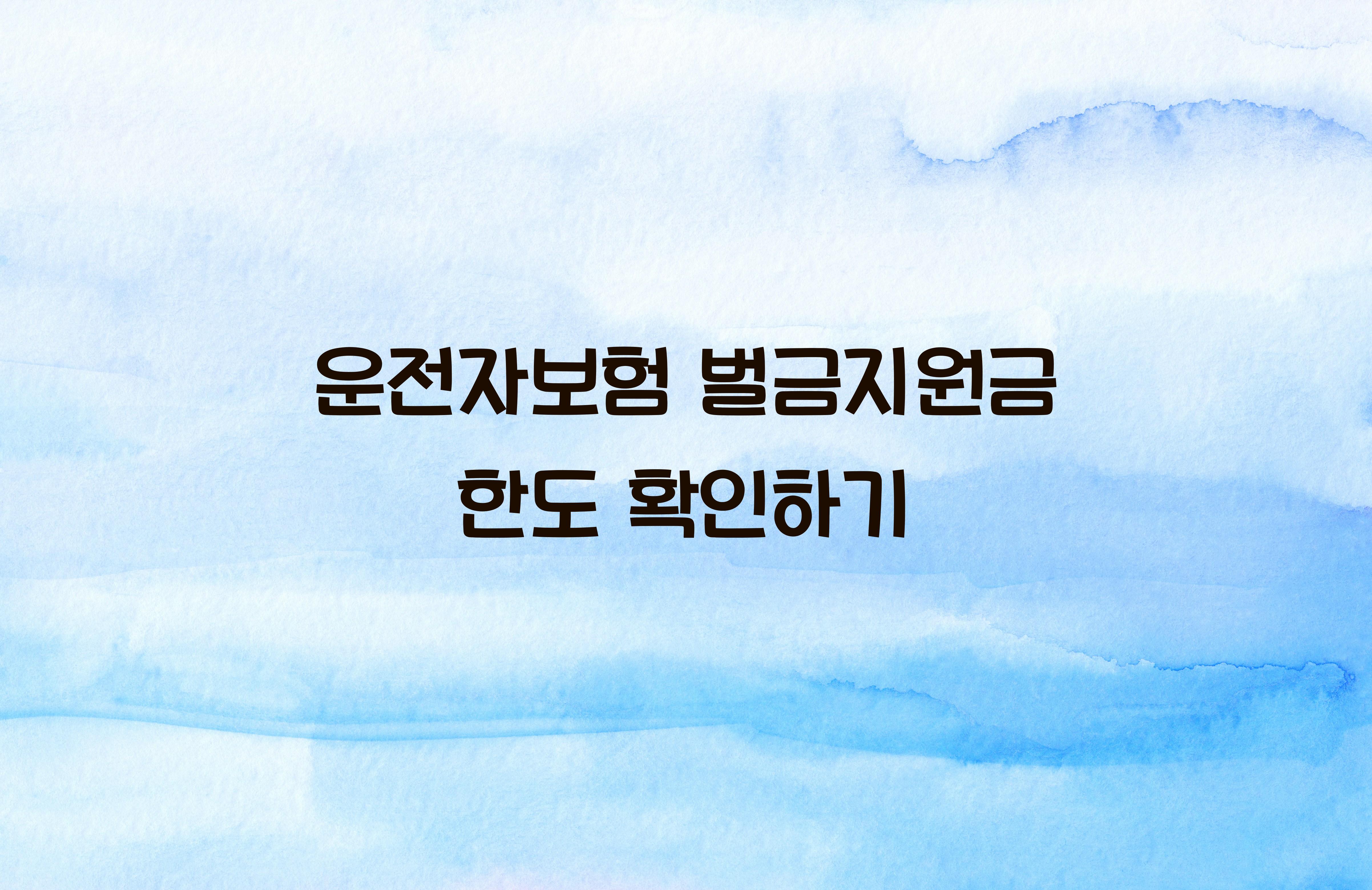 운전자보험 벌금지원금 한도