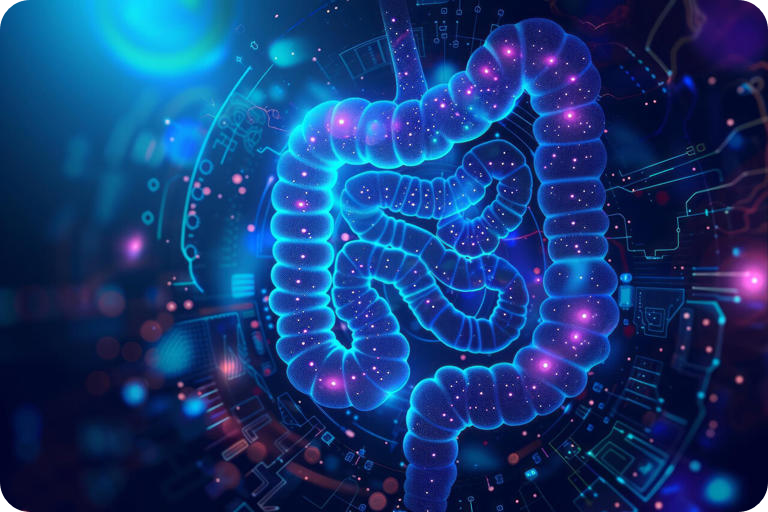 옥수수 알갱이 장 건강 테스트