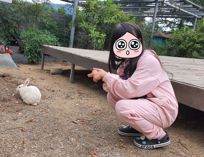 도망가는 토끼