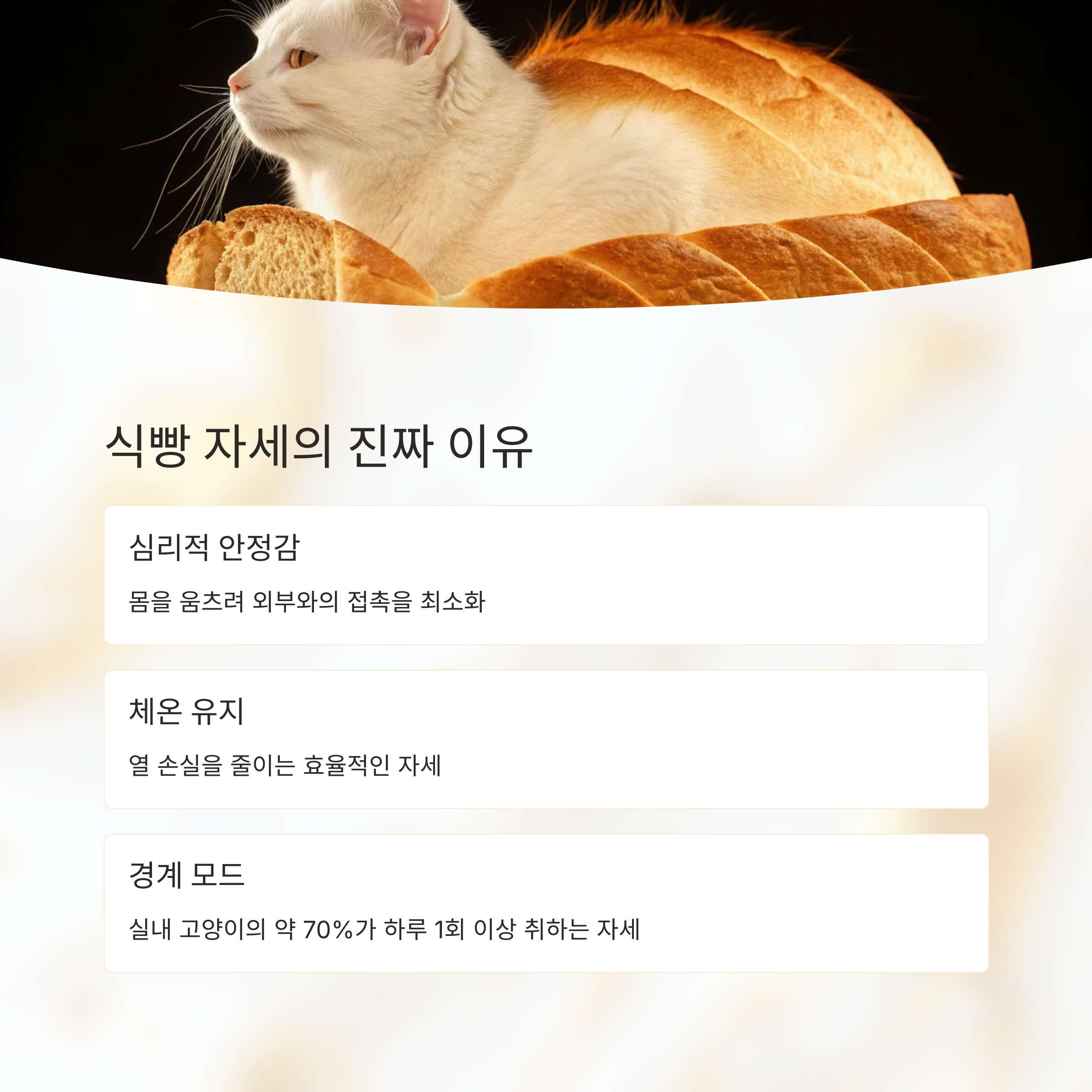 식빵 자세의 진짜 이유