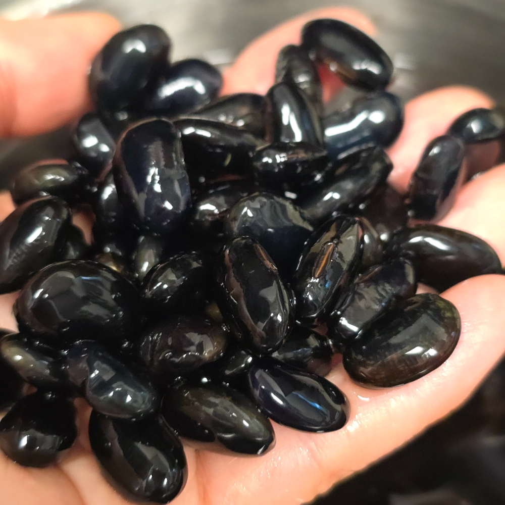 삶기에 적당하게 불려져 윤기 나는 검은콩을 손에 쥔